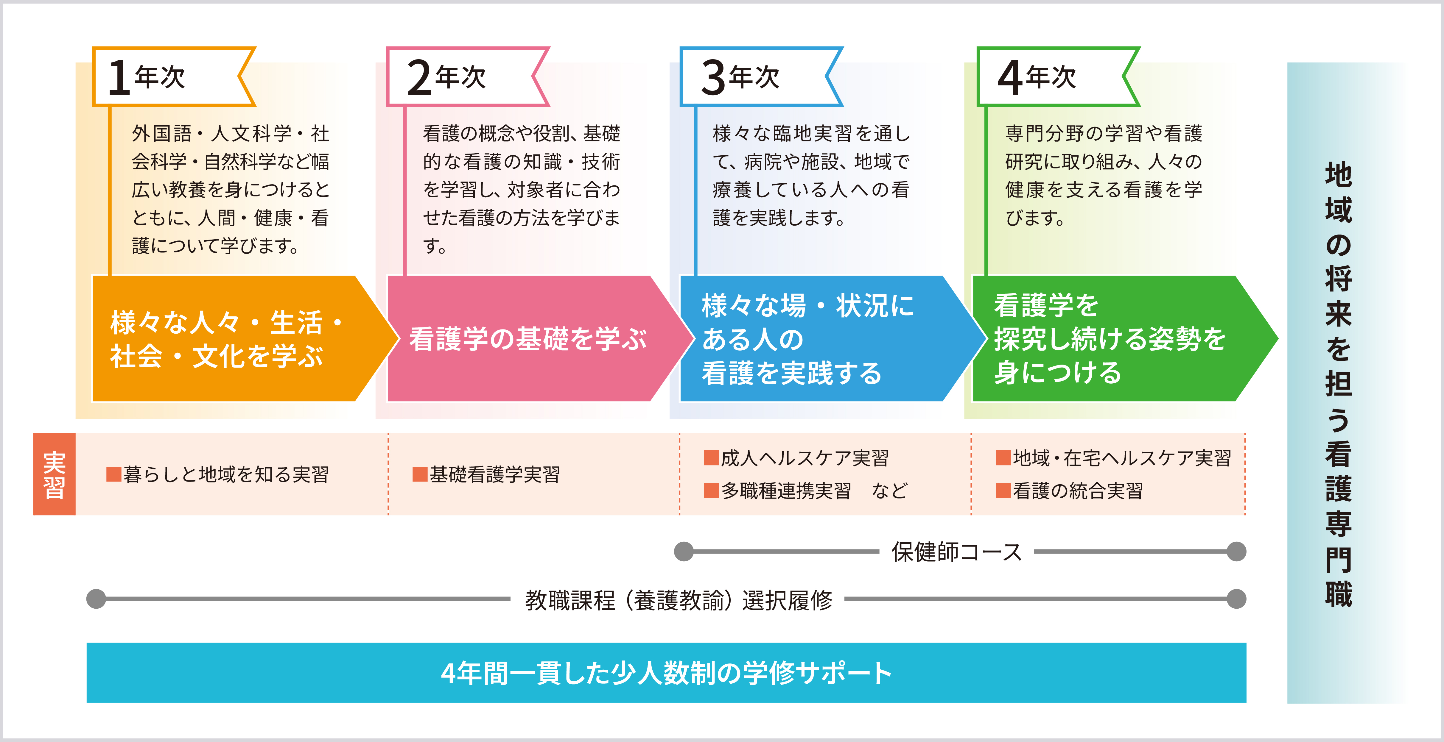 Overview of Nursing Education Curriculum