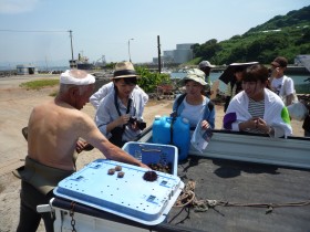 Freshly caught "bafun sea urchin"